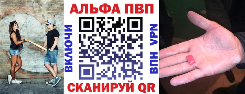APVP СК  Ярославль 