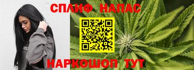 винт Донецк
