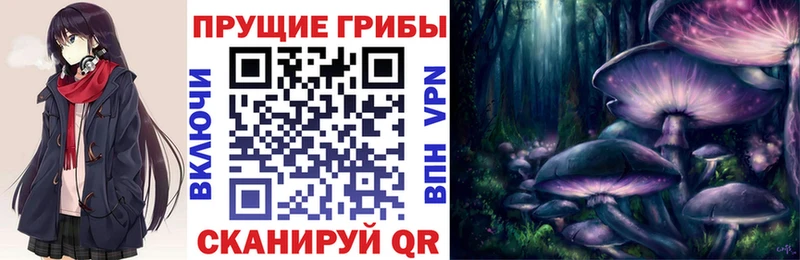 Галлюциногенные грибы ЛСД  где продают наркотики  Ярославль 