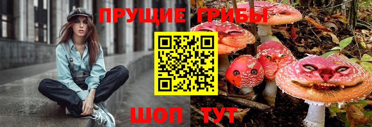 Псилоцибиновые грибы MAGIC MUSHROOMS  Вход с VPN  Ярославль 