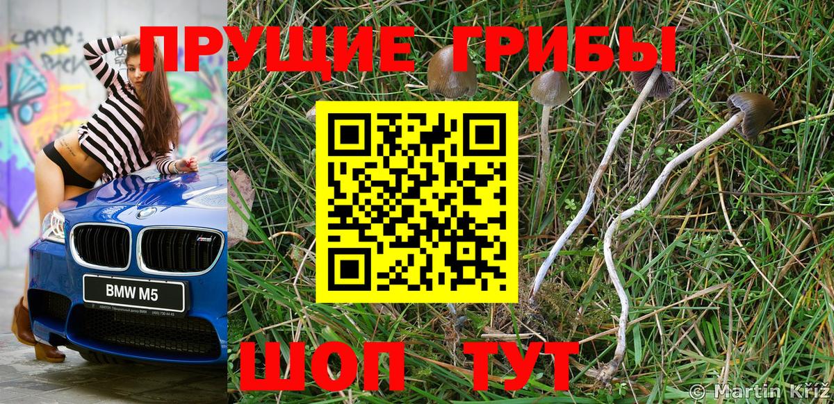 Псилоцибиновые грибы Psilocybine cubensis  как найти закладки  Псилоцибиновые грибы GOLDEN TEACHER  Ярославль 