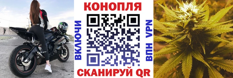 Бошки марихуана семена MEGA ссылка Ярославль